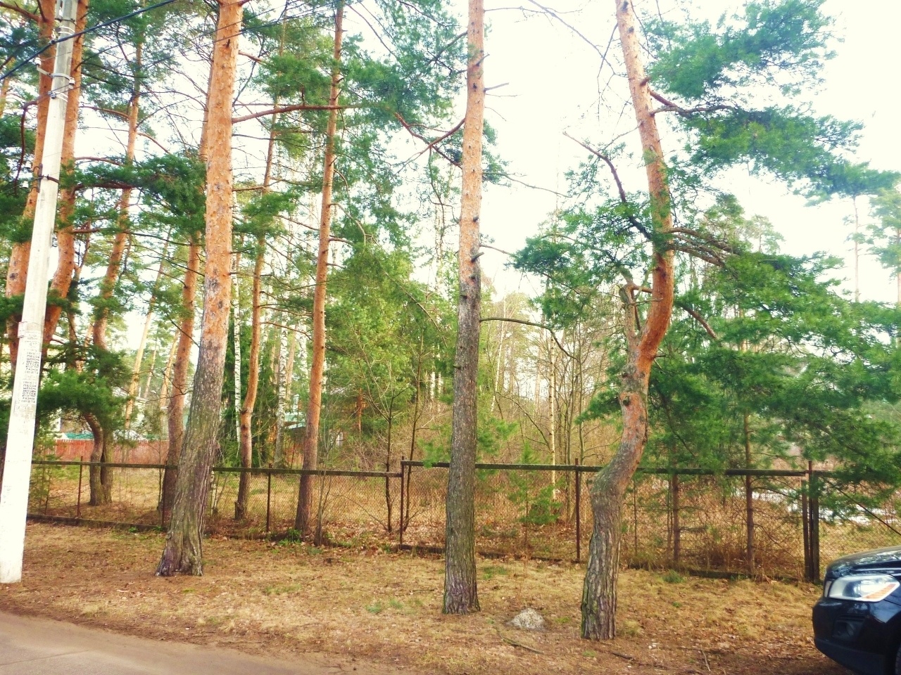 поселок лисий нос. участок невзорова в лисьем носу. камень «непокорённая земля» в лисьем носу. лисий нос большой проспект, 91с2. участки лисий нос.