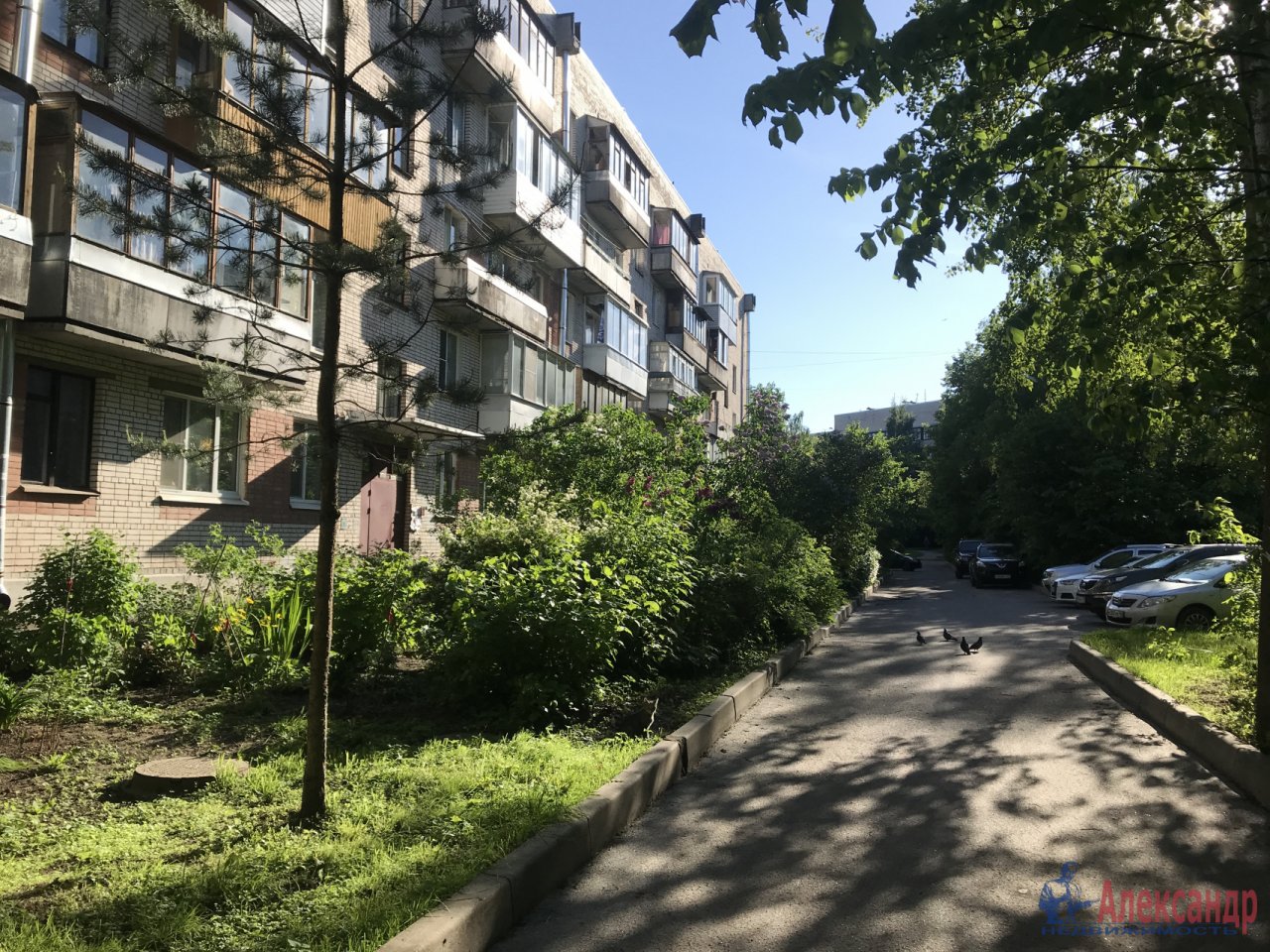 Детскосельский бульвар пушкин. Пушкин детскосельский бульвар. Пушкин детскосельский 7. Пушкин детскосельский бульвар. Пушкин детскосельский бульвар.