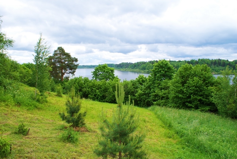 Торковичи лужский район фото