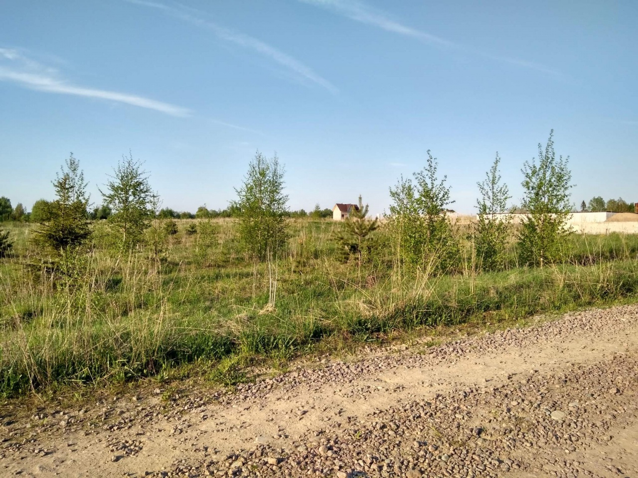 деревня лужицы ленинградской области. лужицы кингисеппский. деревня лужицы кингисеппского района ленинградской области. дубки кингисеппский район. деревня лужицы ленинградской области.