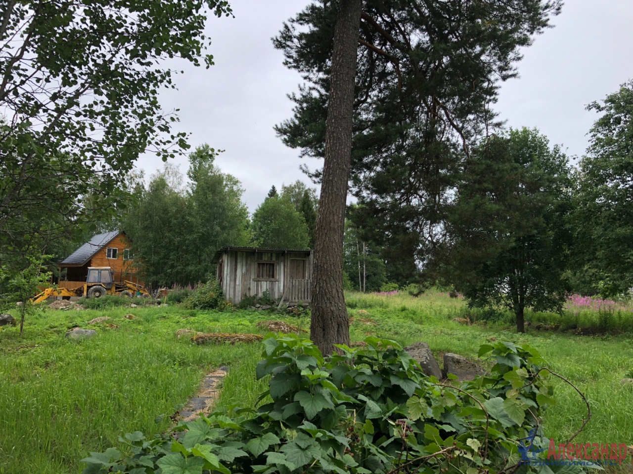 Купить Участок В Снт Боровое Приозерский Район
