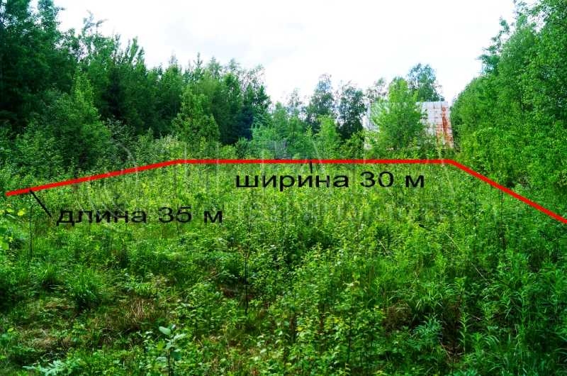 Карта снт фрегат