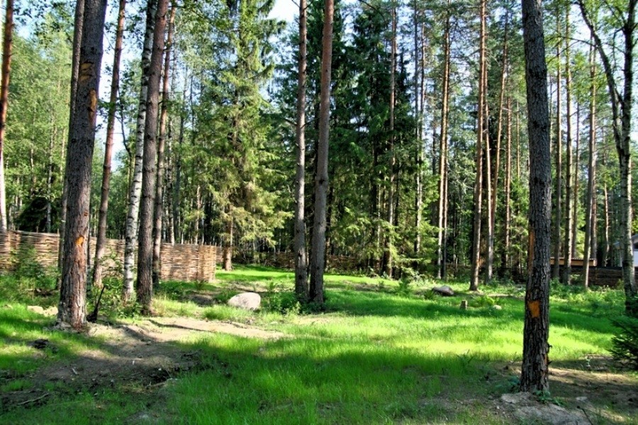 Где Купить Землю В Ленинградской Области