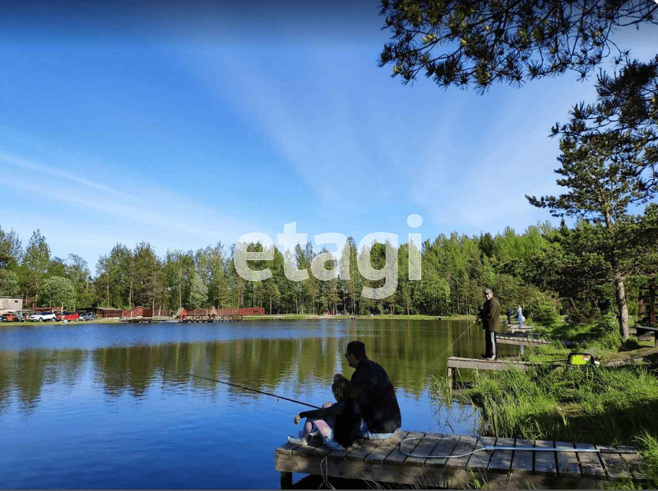 Лепсари. Лепсари Всеволожский район Ленинградской. Деревня Лепсари. Ленинградская область Всеволожский район деревня Лепсари. Озеро Каменка Рахья.