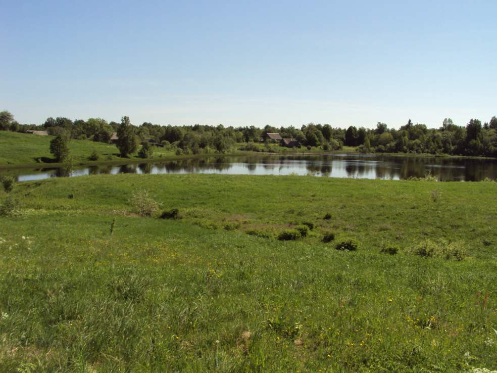 Купить Землю Новгородский Район