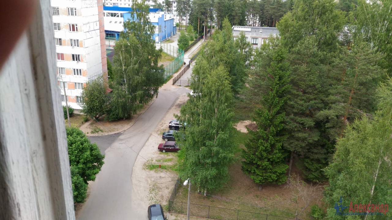 Купить Квартиру В Сертолово Ленинградской Области Вторичка