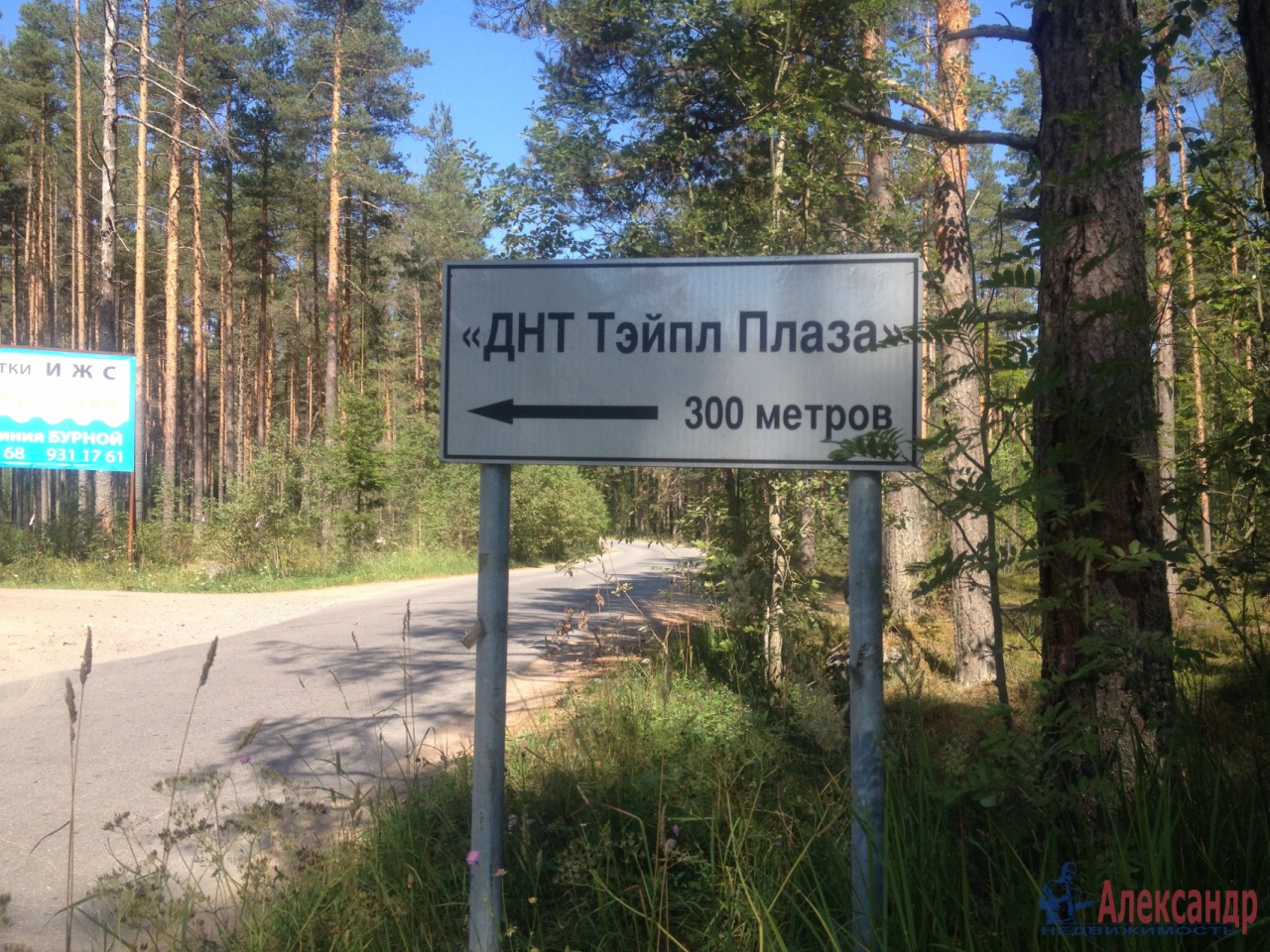 Поселок запорожское. Запорожское Приозерский район Ленинградской. СНТ Запорожское Приозерский район. ДНТ Тайпале Плаза. Сосново Запорожское.