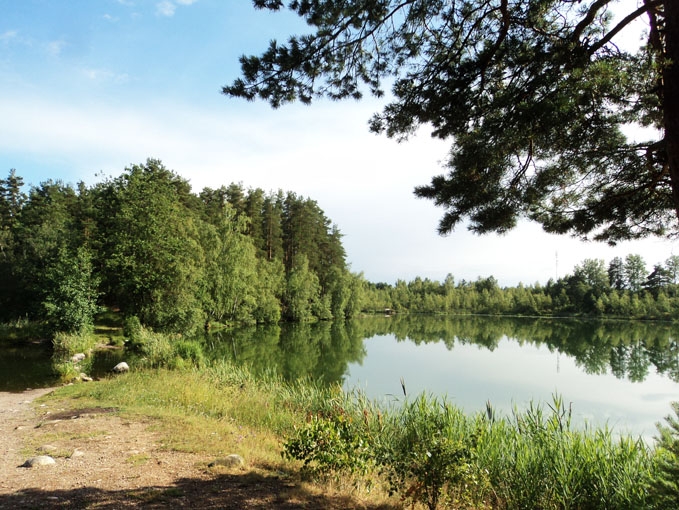 Озеро берестовое