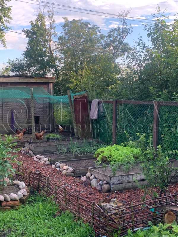 Купить Дачу Пороги Всеволожский Район