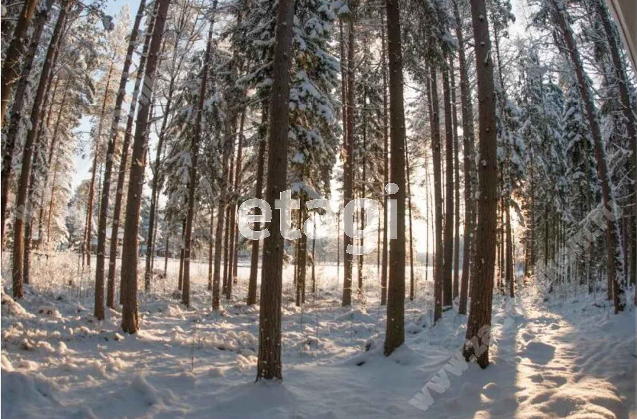 коркино лэйк база отдыха