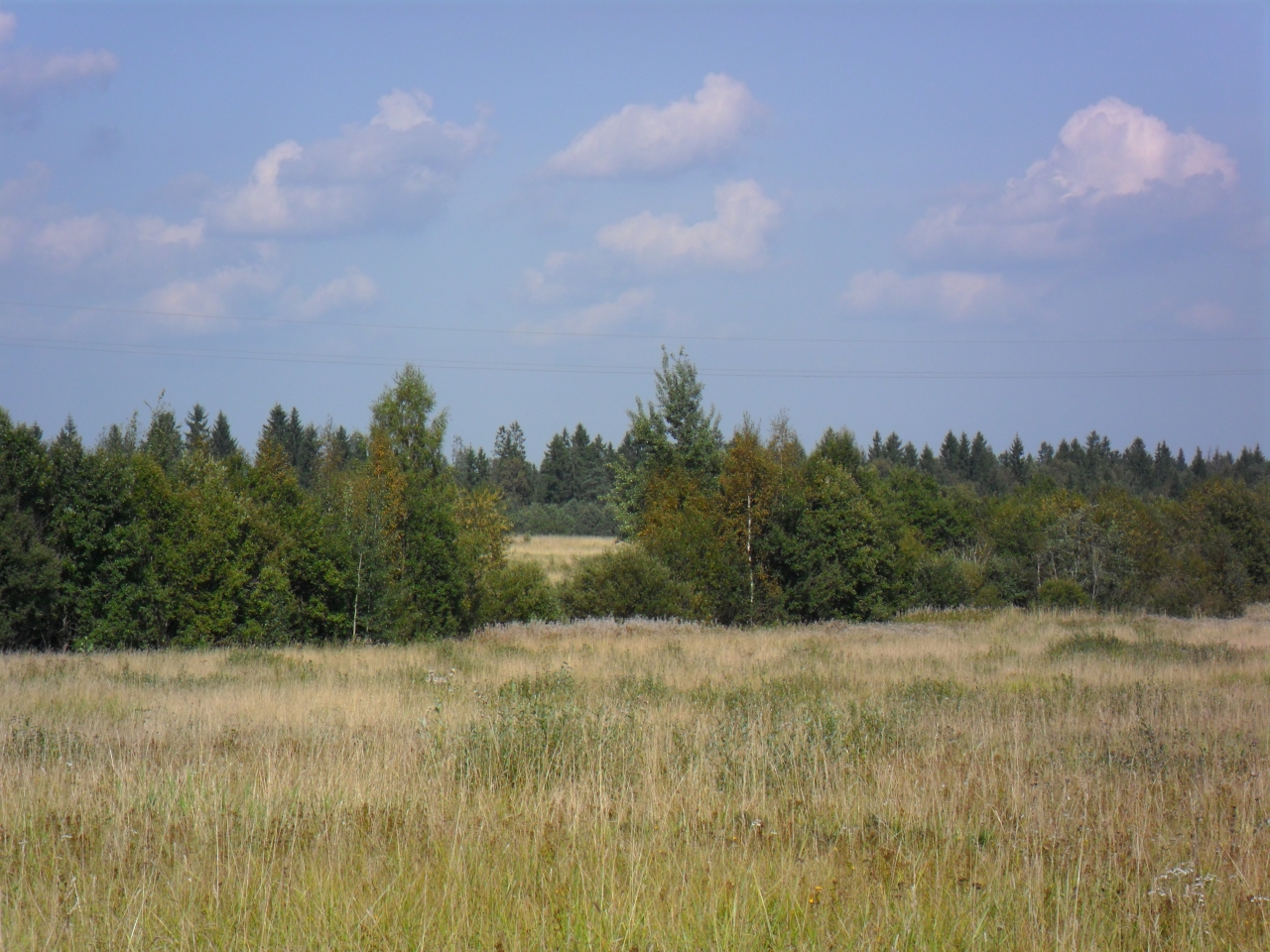 Купить Землю Под Санкт Петербургом