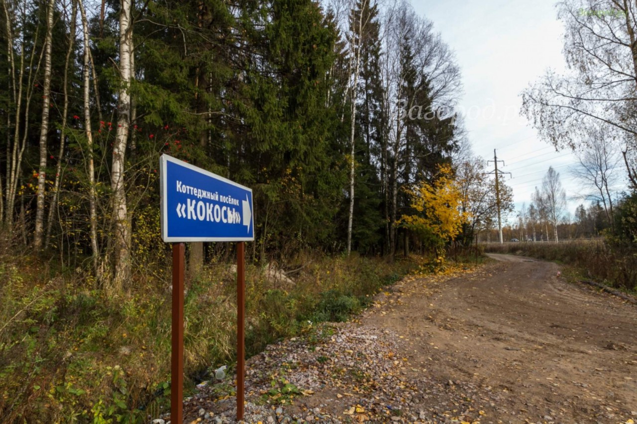 Разметелево ленинградская область фото