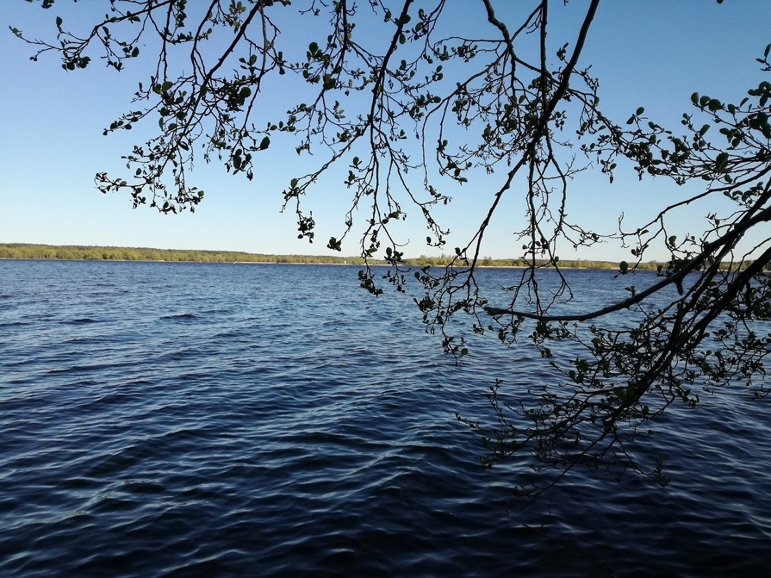 Волго линии. Перетрясово рыбалка. Участок на первой линии Волги большая вода. Волга линии. Перетрясово Тверская Губерния.