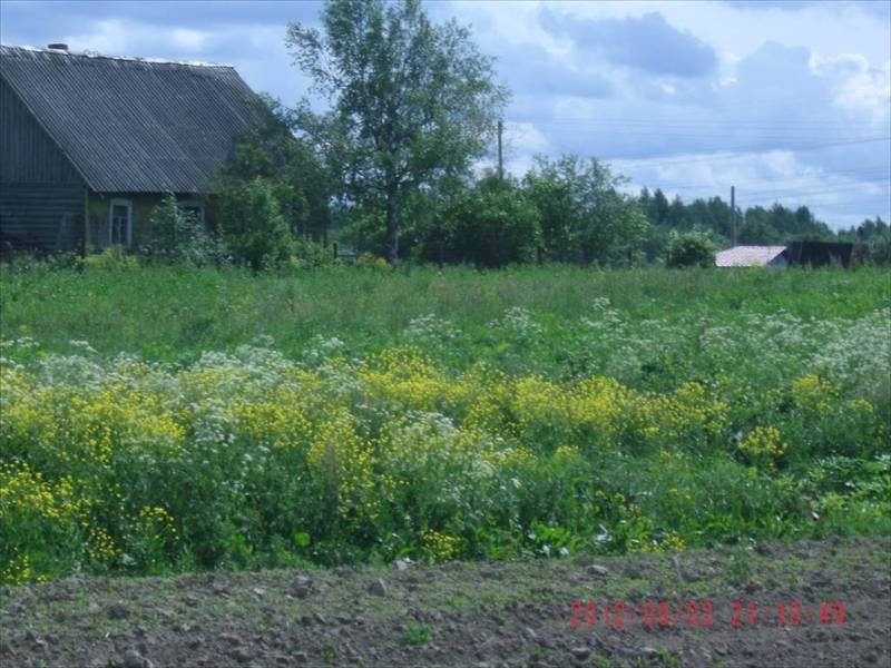 Деревня пудомяги фото