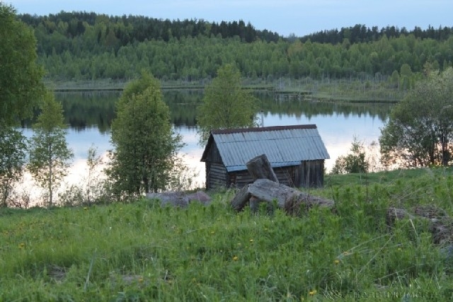 Купить Участок В Лодейнопольском Районе