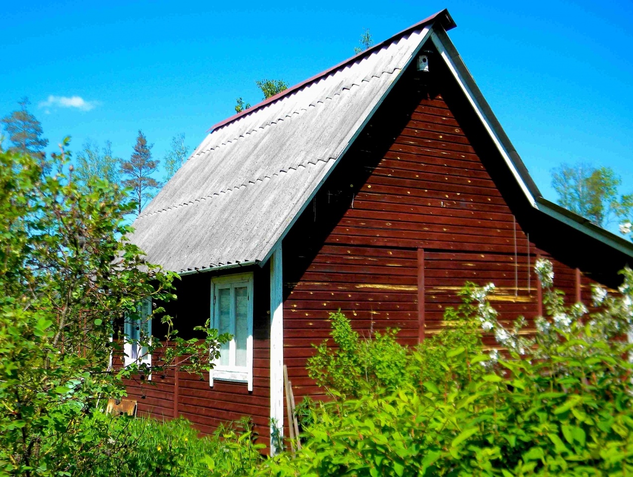 Купить Дом В Красносельском Ломоносовском Районах