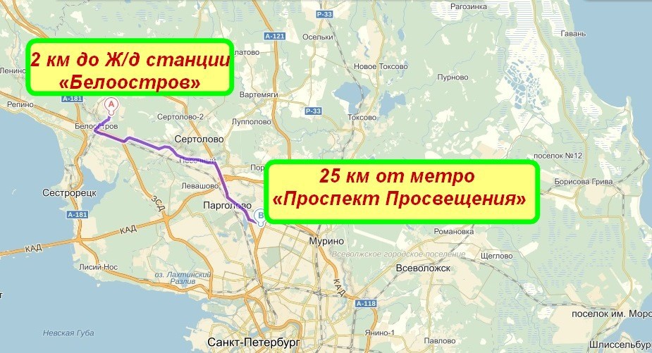 Расписание белоостров санкт. Белоостров на карте Ленинградской области. СНТ Отрадное Белоостров. Белоостров на карте Ленинградской. Новый Белоостров дачный поселок.