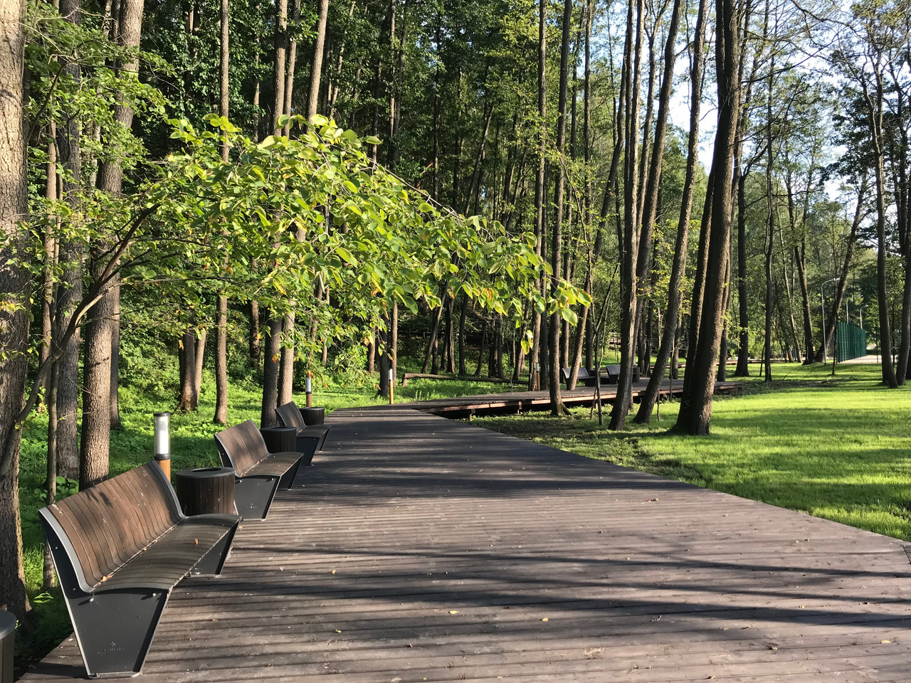 городской парк в красногорске