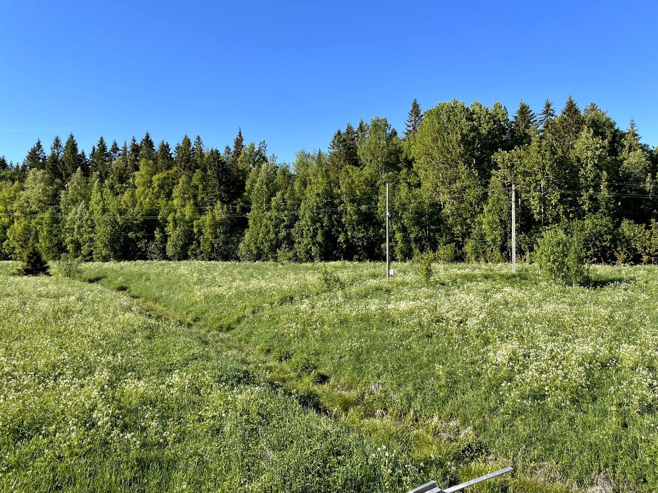 остров лункулансаари карелия