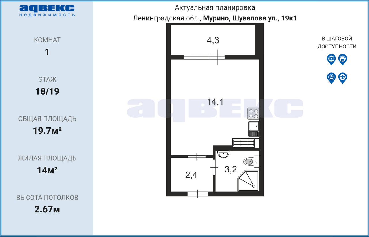 Суши маг мурино шувалова 19 отзывы фото 110