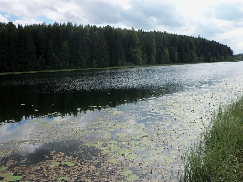 Фото Печорского Района